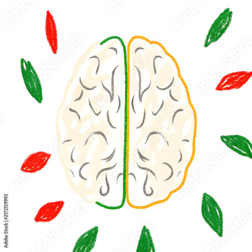 Brain hemisphere concept art with colorful leaf elements symbolizing growth and ideas during creative process