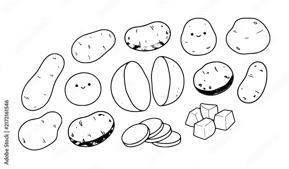 Fototapeta premium Fresh Young Potato Variety Whole Half and Slices Cartoon Vector Collection
