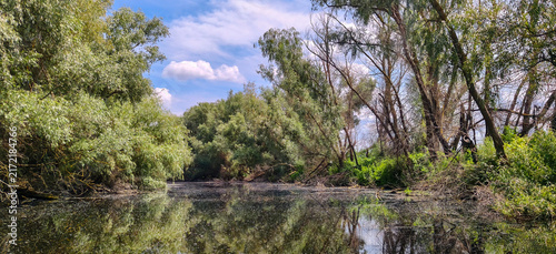 Foto Panoramic view of the Danube Delta from a boat, Romania
