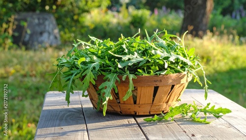 Fresh green herbs in a wooden basket on a picnic table.
