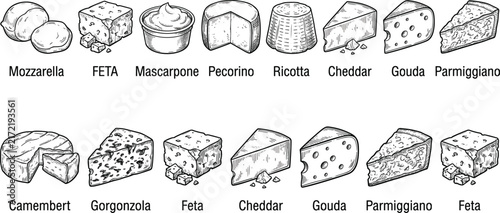 Quadro su tela Hand drawn cheese varieties vintage engraving vector set including mozzarella ch