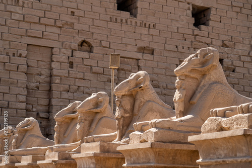 Ancient Egyptian stone sphinx statues with ram heads lined up along pathway at historic Karnak Temple complex in Luxor under bright desert sun in Egypt