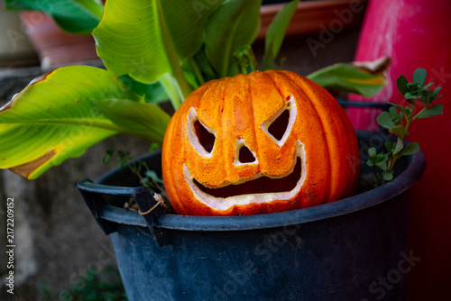 Fotografie Jack-o'-lantern spooky halloween decoration in a planter