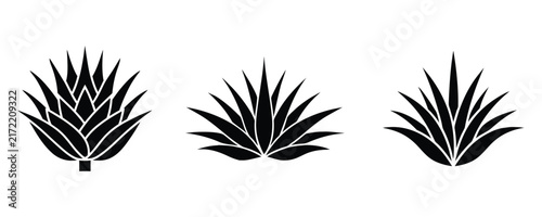 agave plant vector silhouette, agave vector illustration on a white background