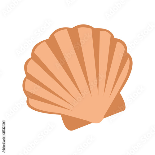 Transparent PNG Vector Image Icon of Tropical Seashell Illustration