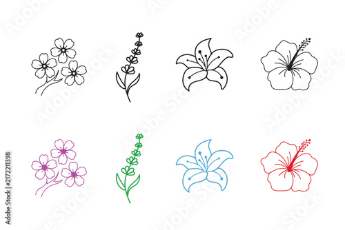 Floral Illustration Set with Delicate Flower Outlines and Color Variations