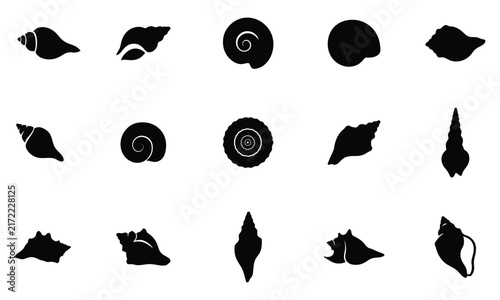 Conch and seashell silhouette vector collection isolated on white background