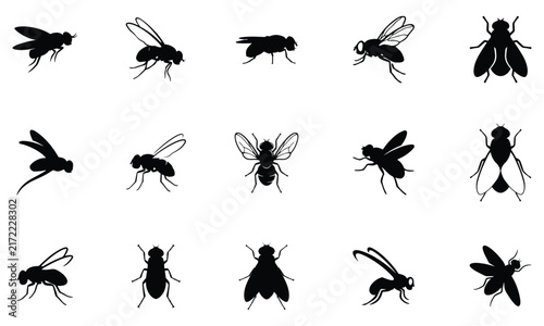 Fly silhouette vector collection isolated on white background