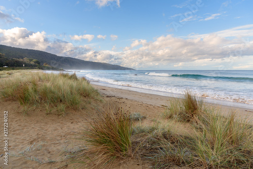 Grassy sand dunes along a deserted sandy beach under blue sky with clouds on at sunset in autumn