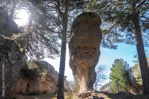 Foto Dramatic mushroom-shaped limestone rock formation among pine trees at Ciudad Enc