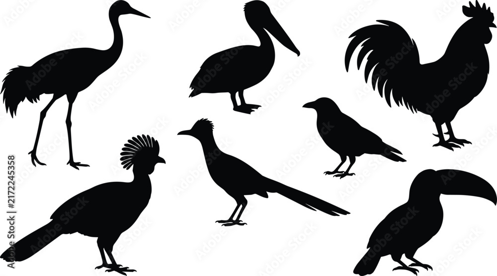 Naklejka premium Vector Bird Silhouette Icon Set Featuring Rooster, Toucan, Pelican, and Crane Graphics for Nature Illustrations, Wildlife Designs, and Creative Digital Media Artwork