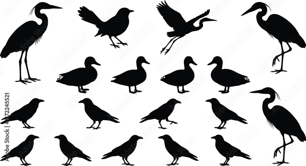 Naklejka premium Vector Bird Silhouette Icon Set with Heron, Duck, and Crow Graphics for Wildlife Design, Nature Illustrations, Digital Artwork, and Creative Projects