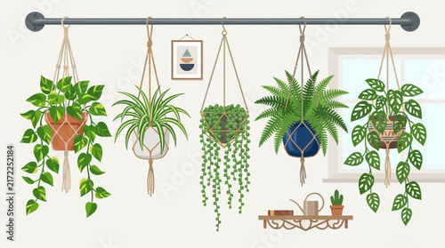 Indoor hanging houseplants in macrame planters vector illustration