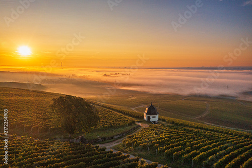 A breathtakingly beautiful sunrise from a bird's-eye view, with vineyards in the foreground and the Rhine shrouded in mist.