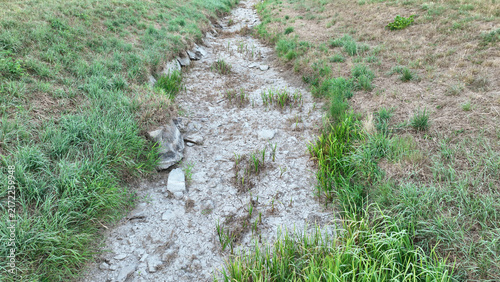 Drought river climate change dried stream dry shallow waterway Trusovicky creek climate change bed with cracked mud, exposed rocks, sediment, tall grasses, reeds, shrubs, and trees clear, sunny