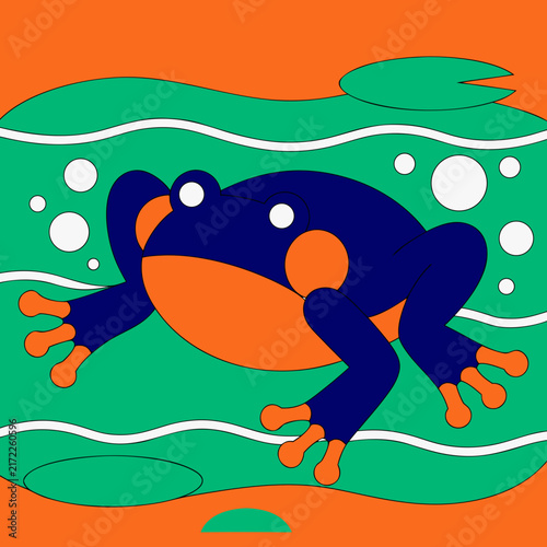 A swimmer  fat frog in a pond