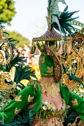 Canvastavla Vibrant green costume gleams under sunlight