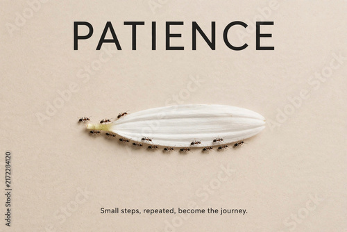 Patience and Peace – Poster for Wall on Stillness and Growth