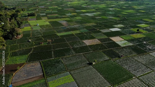 Aerial reveal of Bukit Pergasingan mountain rising above vegetable farmland in Sembalun Lombok