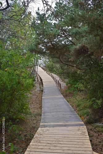 Long wooden path to the Baltic Sea through the dunes. Lithuania.