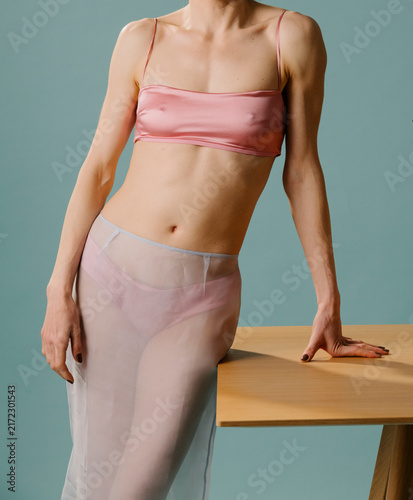 Silk Lingerie Sheer Skirt Fashion Pose