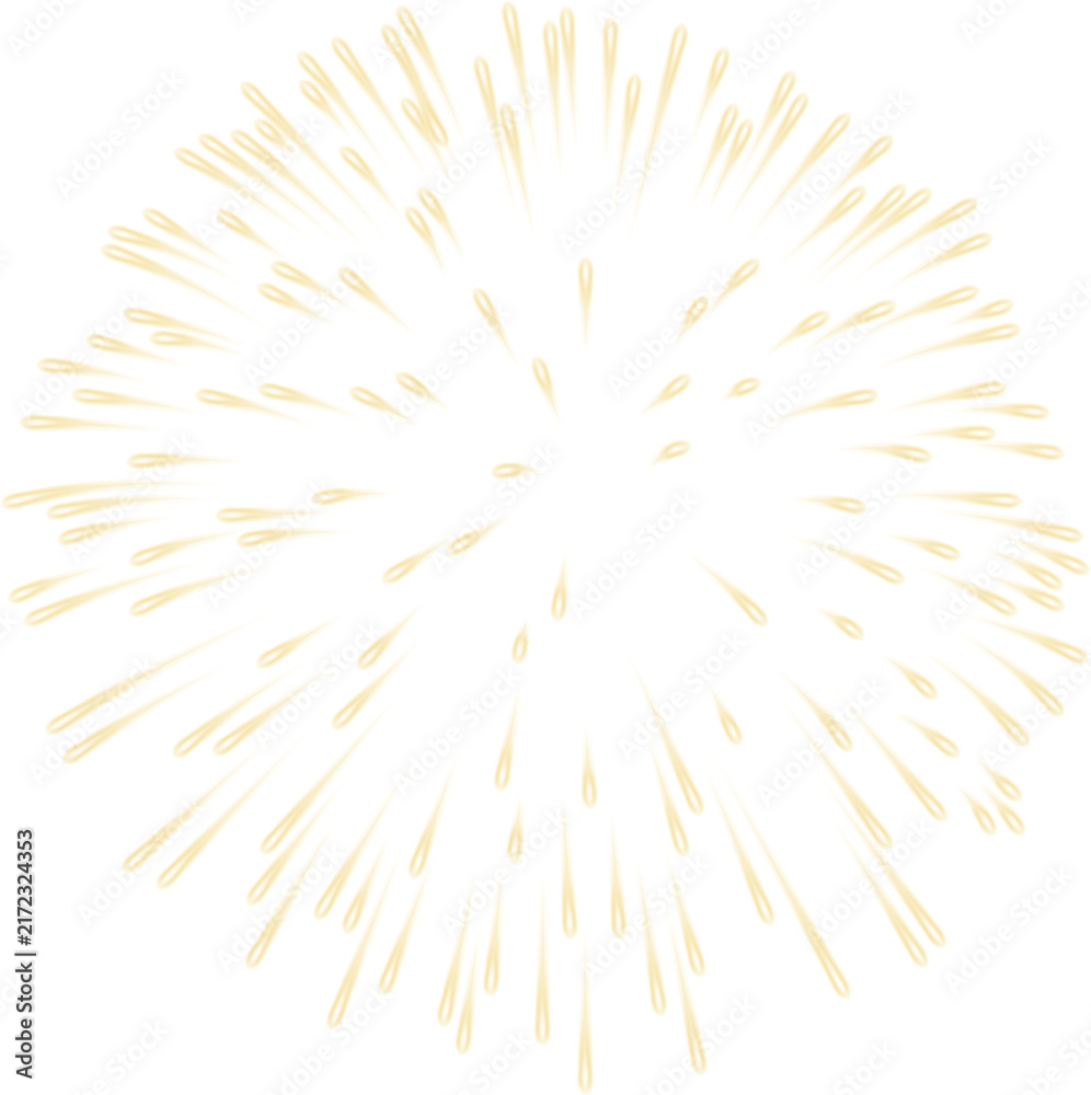 Obraz premium Firework