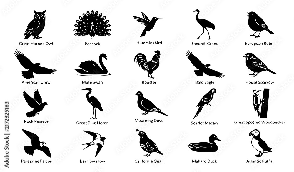 Naklejka premium Diverse Bird Black Silhouette Vector Collection, Wildlife and Nature Icon Pack
