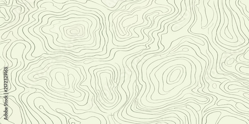 Detailed topographic map contour lines with elevation data geographic map terrain lines navigation topography cartography altitude geography background abstract exploration measurement