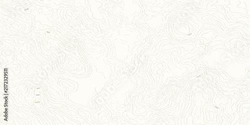 Topographic map pattern background with intricate contour lines texture elevation lines geography map line art terrain landscape hiking navigational gps earth science