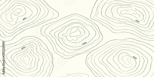 Green tinted topographic map pattern with dense elevation contour lines background terrain texture land contours map illustration abstract green geography cartography abstract backgrounds