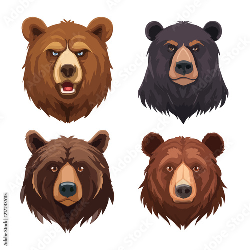 set of brown bears