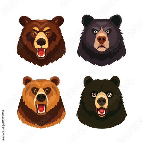 set of brown bears