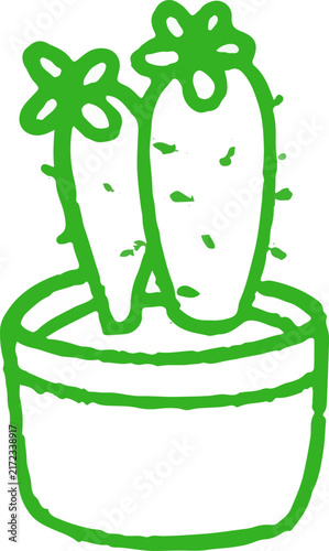 set of whimsical hand drawn leaves, grass, cactus, succulent, clipart collection