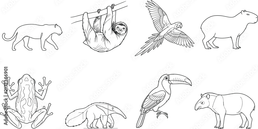 Naklejka premium Tropical Wildlife Line Art Collection with Jaguar Sloth Parrot Capybara Frog Toucan and Tapir