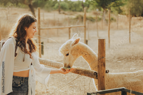 Woman stands near a fence and offers food to an alpaca at a rehabilitation center in Alentejo, Portugal. It is an autumn day with sun shining in the valley.