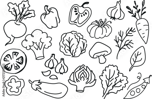Hand Drawn Fresh Organic Vegetables Doodle Vector Set On White Background