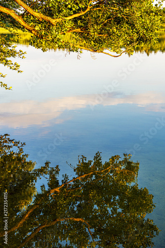 Spiegelung mit See und Bäumen in Seedorf am Schaalsee