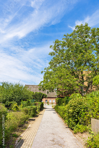 Straße mit Bäumen in Salem am Salemer See