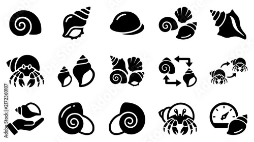 Hermit Crab Shells and Icons Collection: Isolated on Transparent Background
