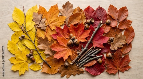 Vibrant autumn leaves arranged with wooden twigs and tiny acorns creating a warm seasonal pattern on a natural light background