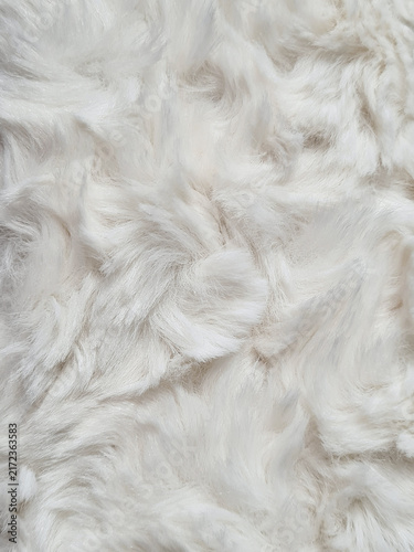 Obraz na płótnie Close-up of long-haired, off-white Mongolian Faux Fur fabric