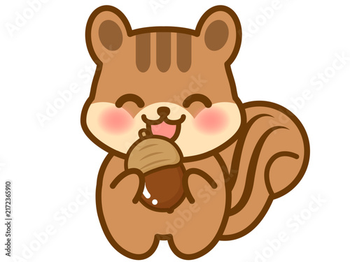 どんぐりを食べるかわいいリスのイラスト素材2