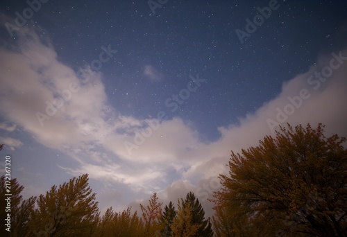 Starry night sky golden autumn light gentle overcast light