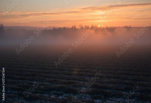 Fog over field snow dusted landscape long shadows at dusk