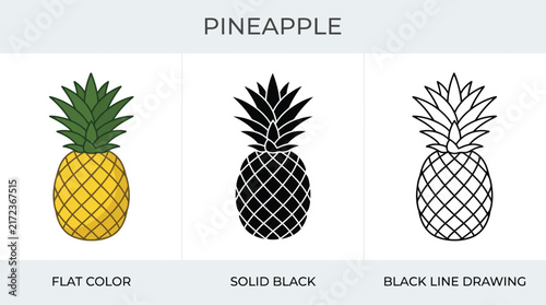 Pineapple vector icon set with flat color solid black and outline styles