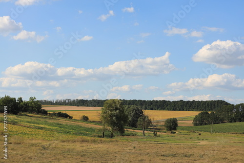 Picturesque rural landscape with rolling green hills, lush trees, and open fields under a sunny sky with fluffy clouds