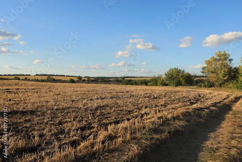 Freshly plowed agricultural field with rich black soil prepared for sowing crops