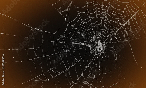 Cuadro en lienzo Intricate spider web against a dark, moody background
