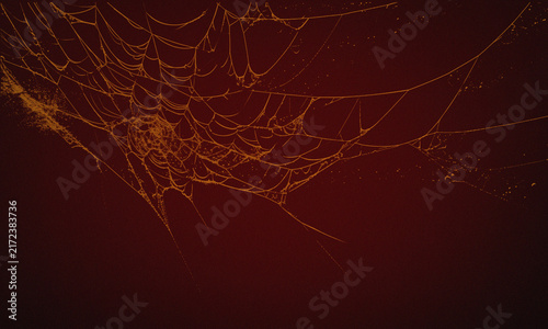 Cuadro en lienzo A detailed spider web glowing in golden light against a dark, moody background