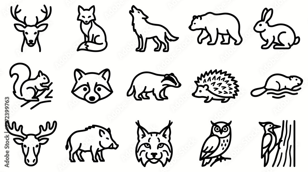 Obraz premium Forest animals collection outline icon set, 15 vector illustrations of bear, deer, wolf, fox, rabbit, squirrel, hedgehog, badger, beaver, wild boar, owl and woodpecker, doodle style
